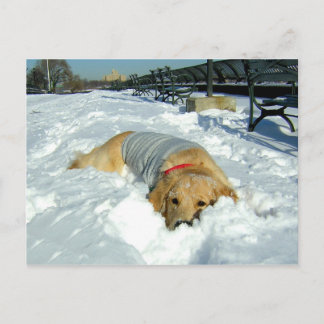 KANN ICH HIER BLEIBE? POSTKARTE