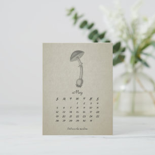 Kann Mushroom Vintag 2024 Card anpassen Postkarte