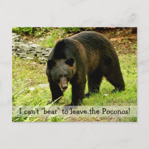 Kann nicht "Bären", um Poconos Postkarte Verlassen