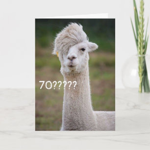 KANN NICHT GLAUBEN, DASS SIE DEN "70." GEBURTSTAG KARTE