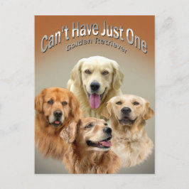 Kann nicht nur eine goldene Postkarte haben
