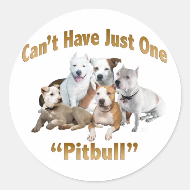 Kann nicht nur einen Pitbull haben Runder Aufkleber (Vorderseite)