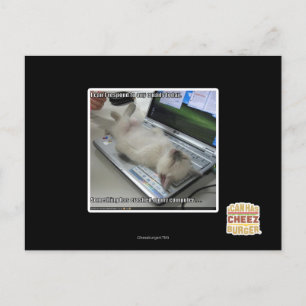 Kann nicht reagieren postkarte