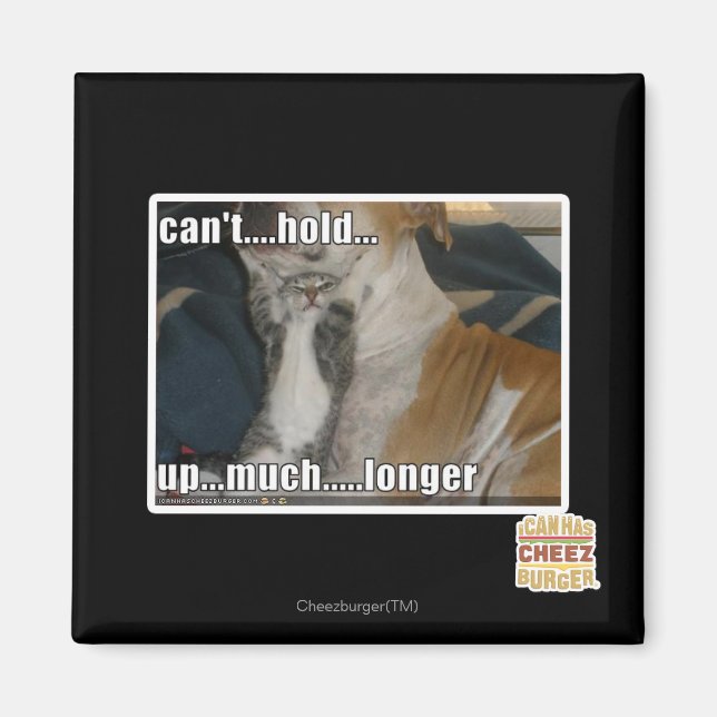 Kann nicht viel länger aufhalten magnet (Vorne)