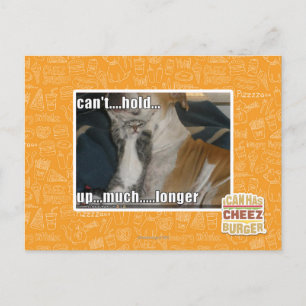 Kann nicht viel länger aufhalten postkarte