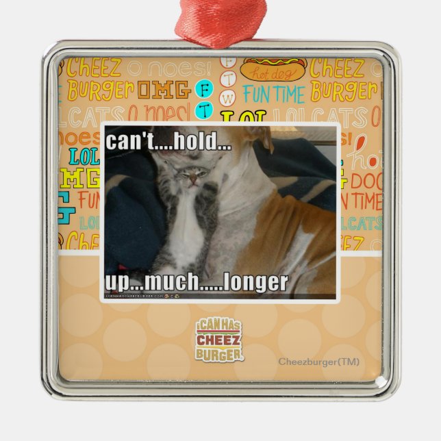 Kann nicht viel länger halten silbernes ornament (Vorne)