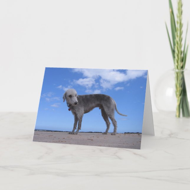 Kanon ixus 057 karte (Vorderseite)