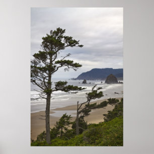 Kanonen-Strand von Tolovana in Oregon-Pazifischem Poster