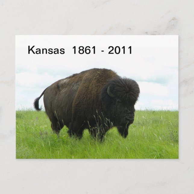 Kansas 1861 - 2011 postkarte (Vorderseite)
