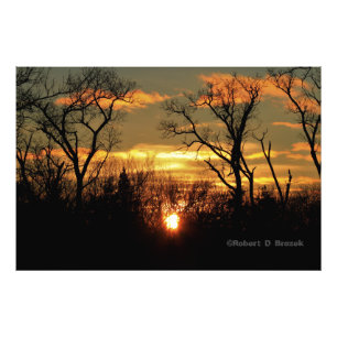 Kansas Baum-Silhouetten Sonnenuntergang Foto Poste