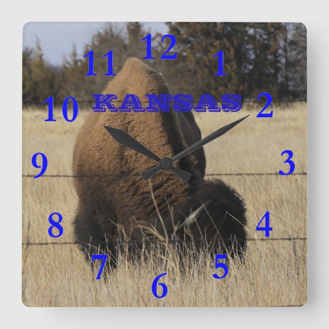 Kansas Buffalo Square Wall Clock Quadratische Wanduhr (Vorderseite)