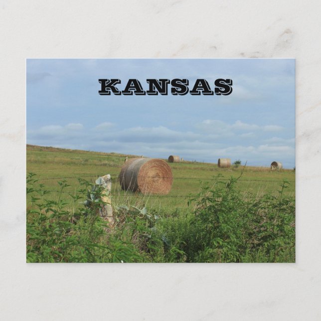 Kansas Country Hay Bale in einem Feld Post Card Postkarte (Vorderseite)