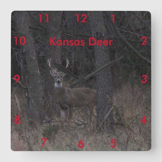 Kansas Deer CLOCK Quadratische Wanduhr (Vorderseite)