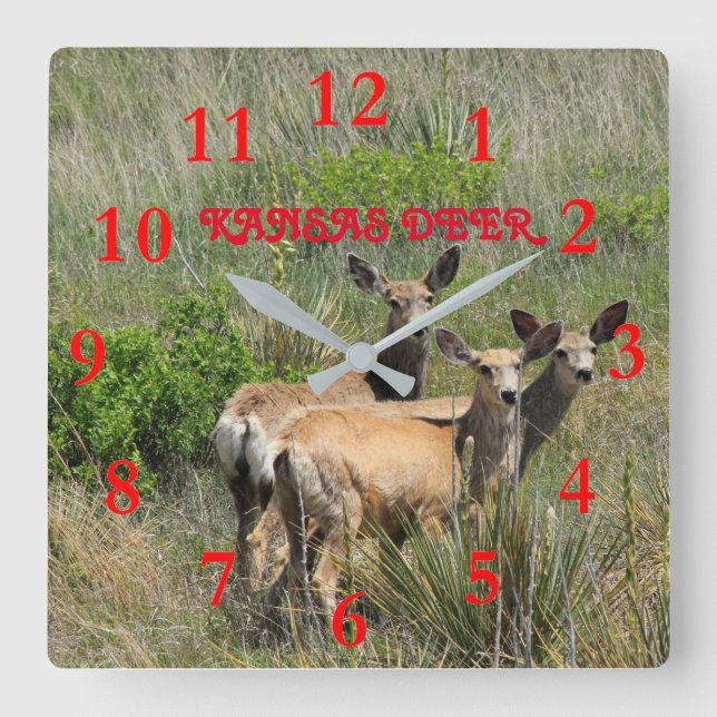 Kansas Deer Square Wall Clock Quadratische Wanduhr (Vorderseite)