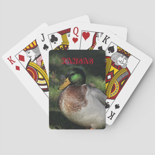 Kansas Drake Mallard Spielkarten (Rückseite)