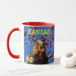 Kansas Eichhörnchen beim Essen einer roten Beere a Tasse