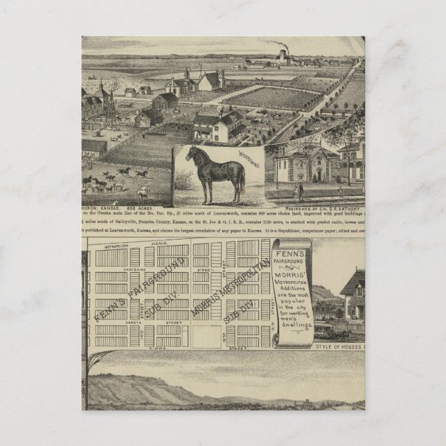 Kansas Farms Postkarte (Vorderseite)