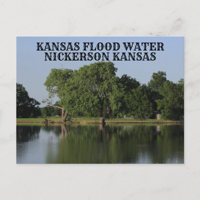 Kansas Flood Water Nickerson Kansas Post Card Postkarte (Vorderseite)