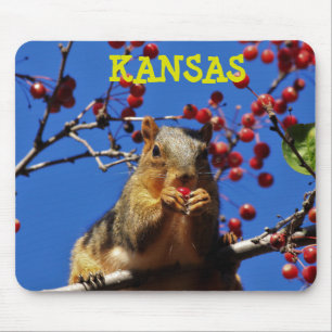 Kansas Fox Schwanz Squirrel Mouse PAD Mousepad