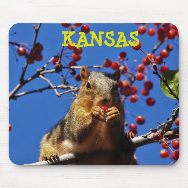 Kansas Fox Schwanz Squirrel Mouse PAD Mousepad (Vorne)
