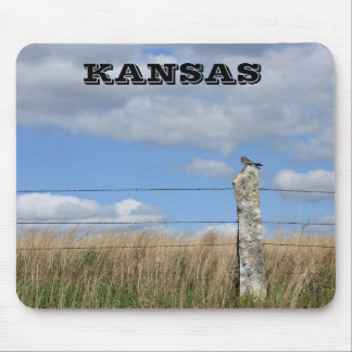 Kansas Hawk auf einem Kalkstein Post Mouse PAD Mousepad