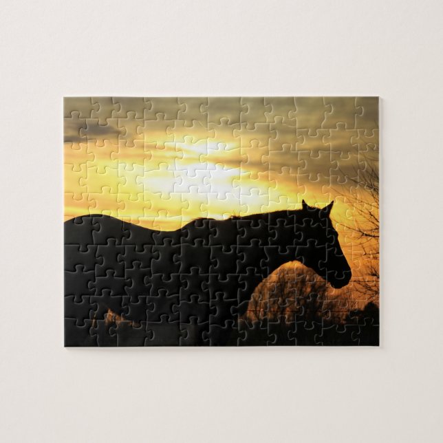 Kansas Horse Silhouette Golden Orange (Horizontal)