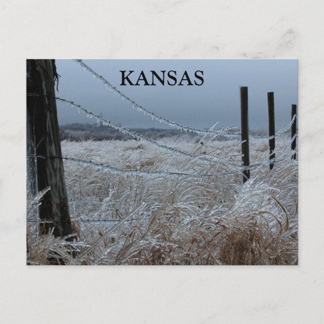 Kansas Ice auf einem Zaun Postkarte (Vorderseite)