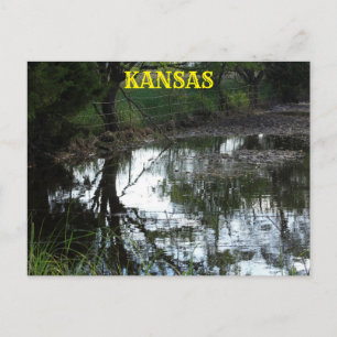 Kansas inondent l'eau dans un pâturage Carte posta