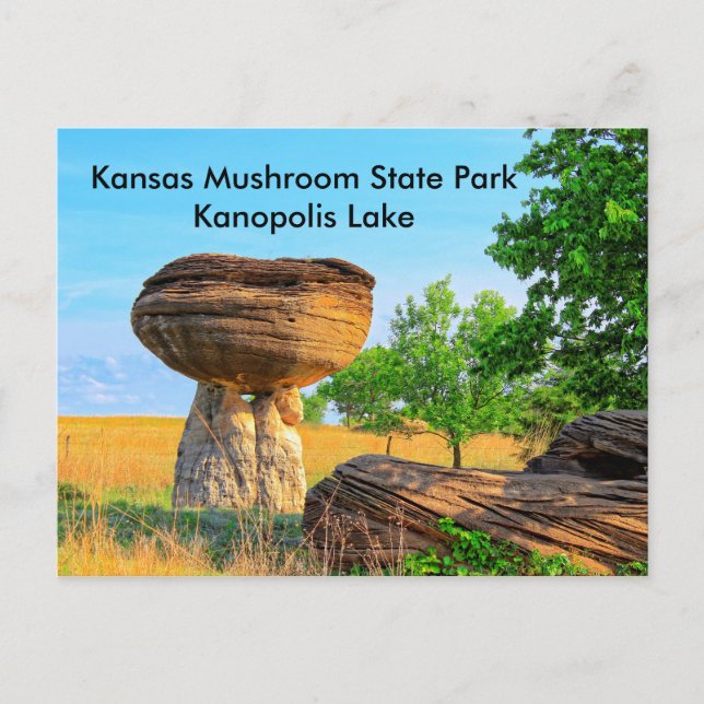 Kansas Mushroom Staat Park Kanopolis POST CARD Postkarte (Vorderseite)