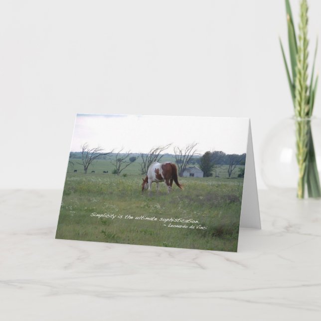 Kansas Paint Horse Karte (Vorderseite)