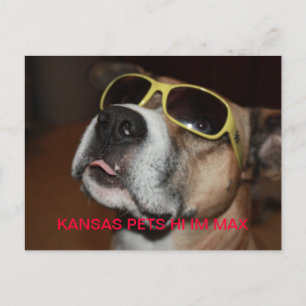 KANSAS PETS IM MAX POSTKARTE