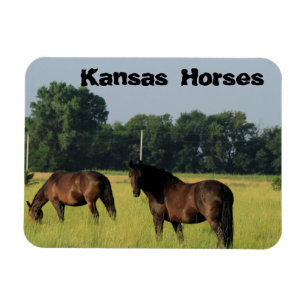 Kansas Pferde auf einer Weide Magnet