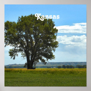 Kansas Poster