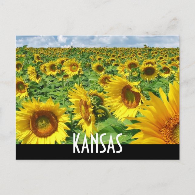 KANSAS POSTKARTE (Vorderseite)