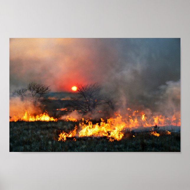 Kansas Prairie Burn bei Sunset Poster (Vorne)
