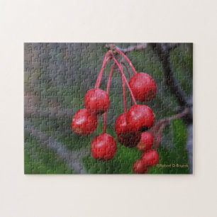 Kansas Red Berries closeup Puzzle