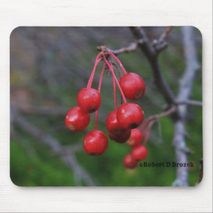 Kansas Red Berries erschossen Nahaufnahme Mouse Pa Mousepad