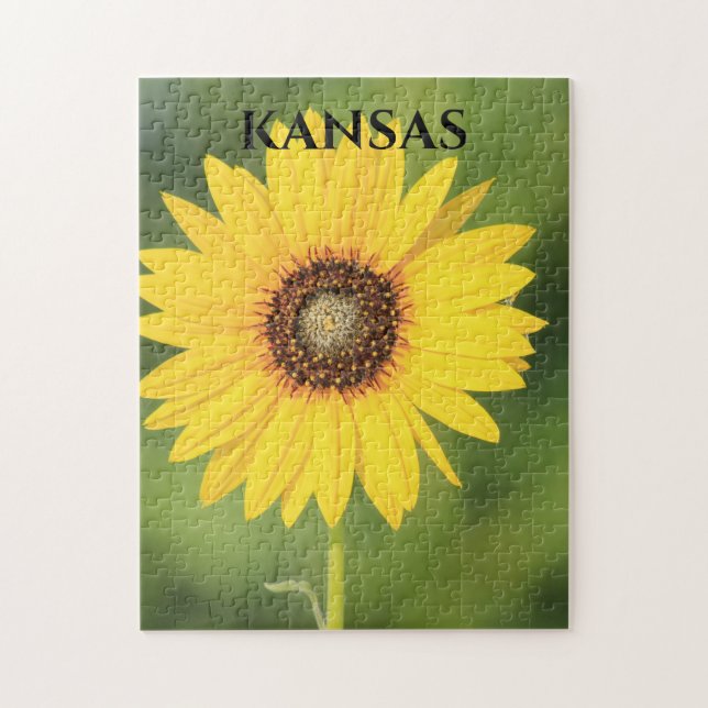 Kansas Sonnenblume (Vertikal)
