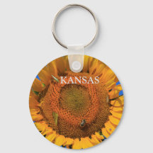 Kansas Sonnenblume