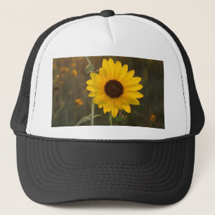 Kansas-Sonnenblume Truckerkappe