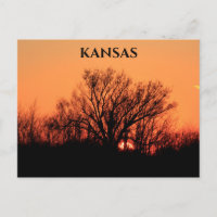 Kansas Sonnenuntergang mit Baumpost-Silhouette-Kar