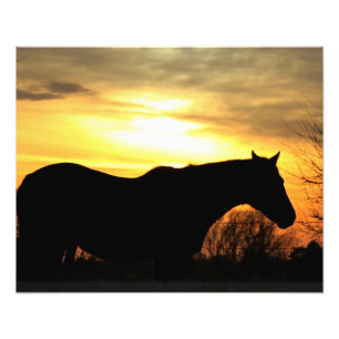 Kansas Sonnenuntergang Silhouette Reiten in einer  Fotodruck