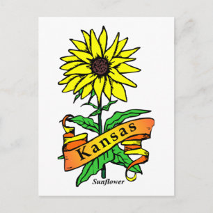 Kansas Staat Blume Postkarte