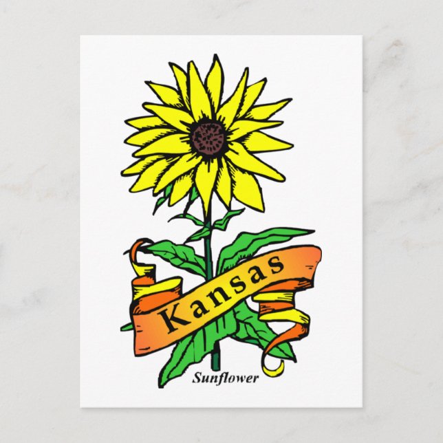 Kansas Staat Blume Postkarte (Vorderseite)