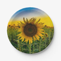 Kansas Sunflower Field