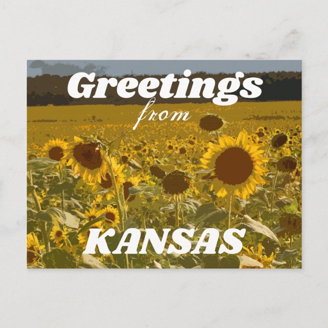 Kansas Sunflower Greetings Postkarte (Vorderseite)