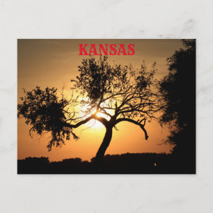 Kansas Sunset mit Baumpost-Karte Postkarte