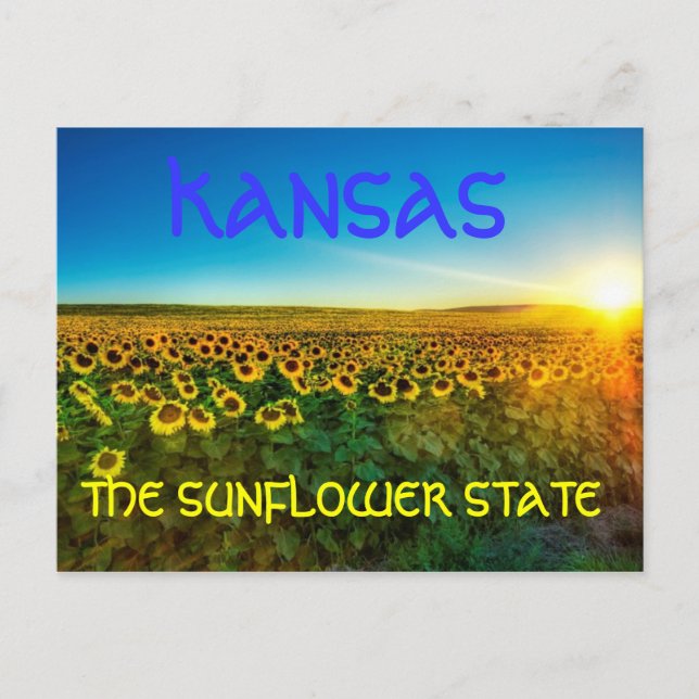 Kansas "The Sunflower Staat Postcard" Postkarte (Vorderseite)