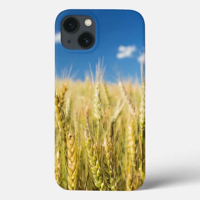 Kansas-Weizen Case-Mate iPhone Hülle (Rückseite)