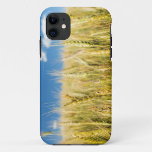 Kansas-Weizen iPhone 11 Hülle